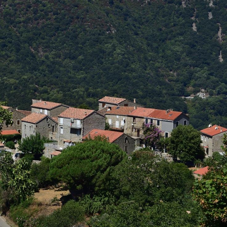 Family terraces and cafés for calm evenings in Madrid